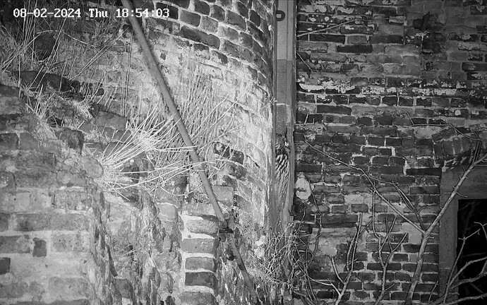 Screenshot_20240208_185421_Chrome