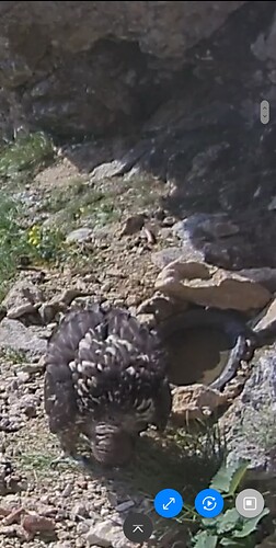 Screenshot_20230603_074117_Samsung Internet