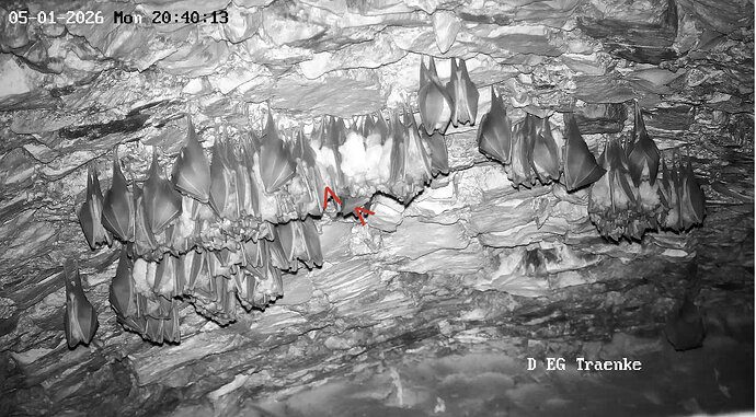 2026-01-05_8 zwei neue aktive Hufis