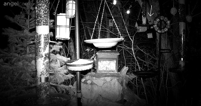 Screenshot_20221228-065755_Samsung Internet