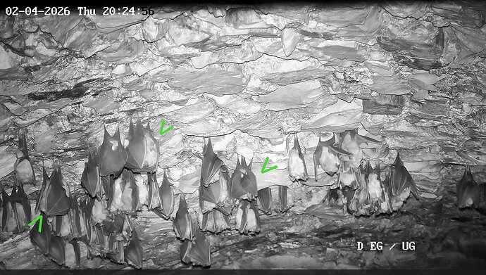 2026-04-02_1 Stillleben mit Kugeln