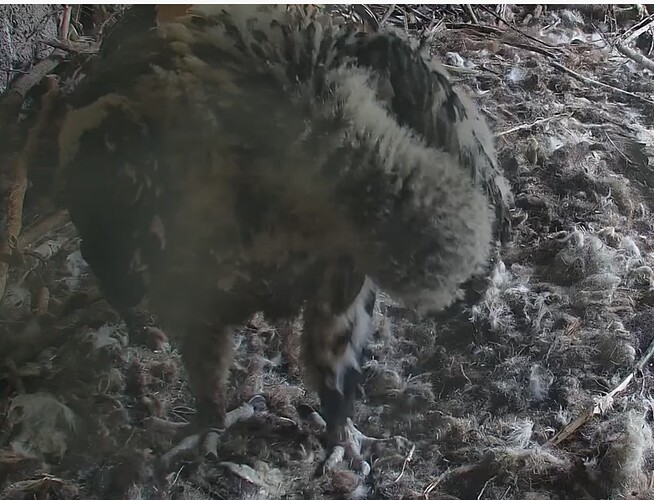 Stehen und putzen 28-04-24