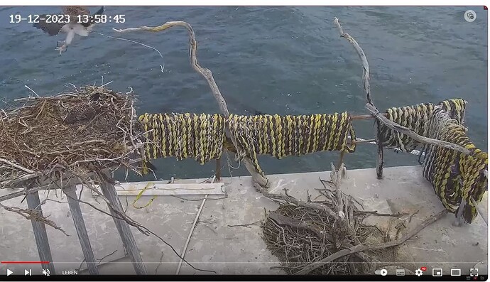 Screenshot 2023-12-19 152126