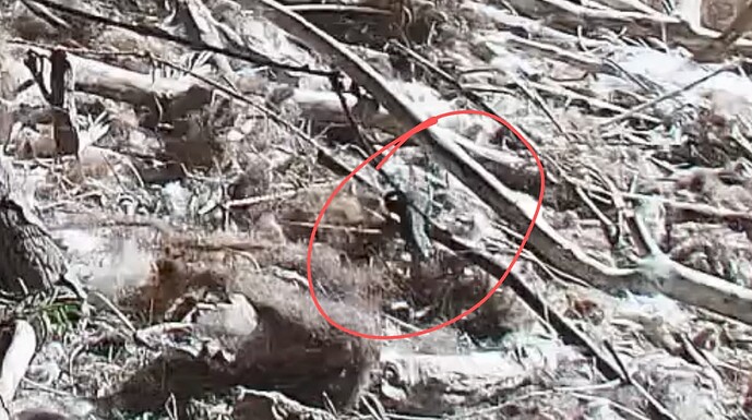 Screenshot_20251010-150440~2