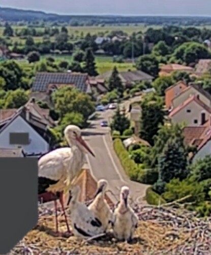 Screenshot_2025-05-30-14-57-02-500_com.android.chrome