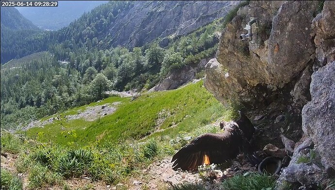 Screenshot 2025-06-14 092346