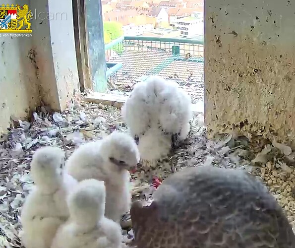 Screenshot_20230423-181844~2