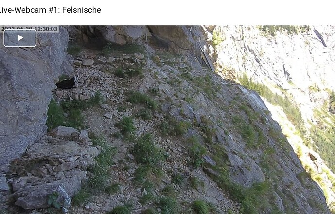 Screenshot_20230629-123306_Chrome