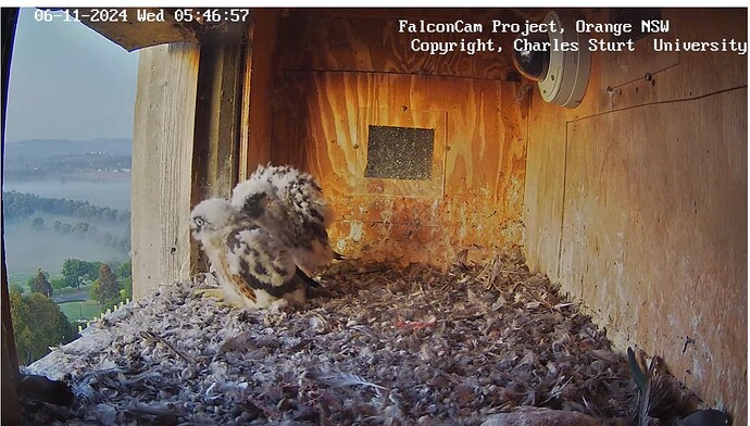 Screenshot 2024-11-05 195031