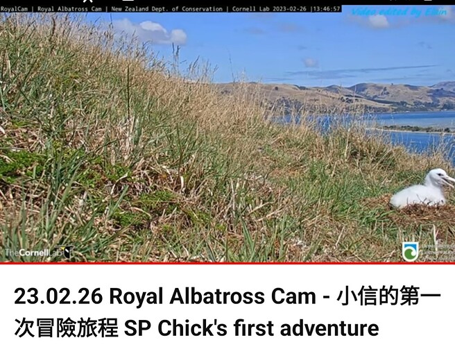 Screenshot_20230228_224918_YouTube