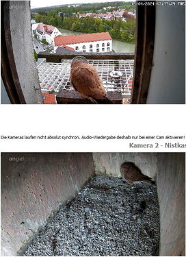 Snap_2024.04.16_07h37m56s_003_