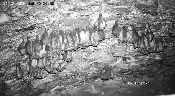 2025-12-31 ab 20.00_6 Minicluster