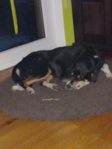 17046435046174489831160789957947