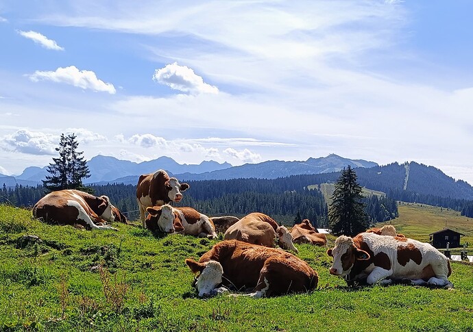 IMG_20250908_125723~2