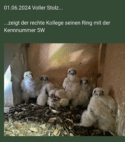 Screenshot_20240713_172216_Chrome