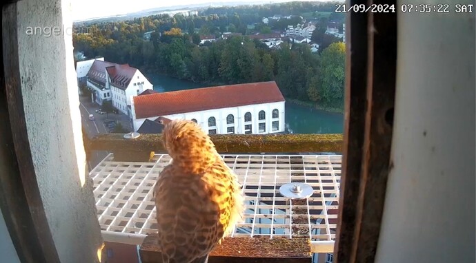 Screenshot_20240921_073544_Samsung Internet