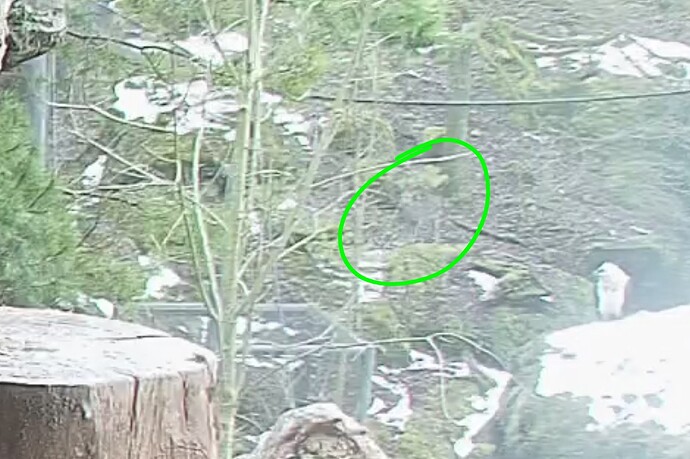 Screenshot_20260118-131422~2