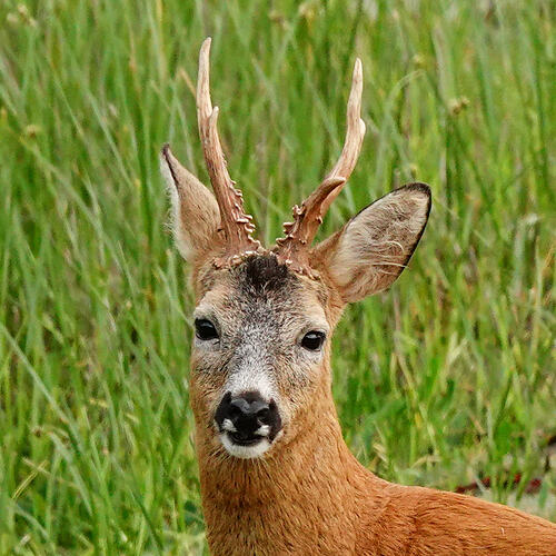 DSC09400_1
