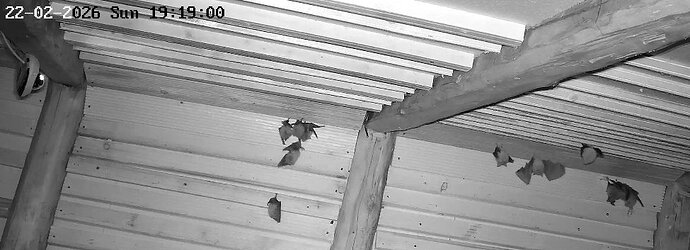 2026-02-22_3 ab 19.00 WG Aktivität in 1 Min 1