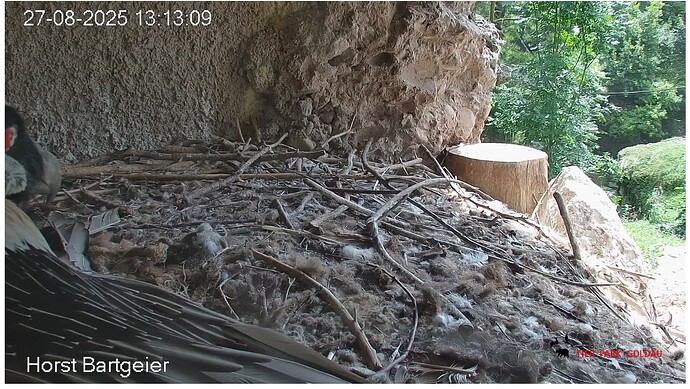 Screenshot_20250827-131417~2