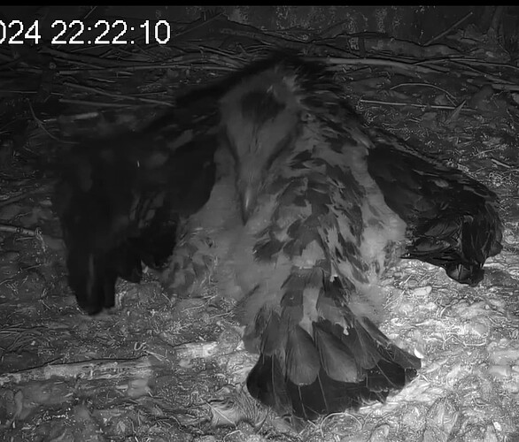 Screenshot_20240505-222313~2