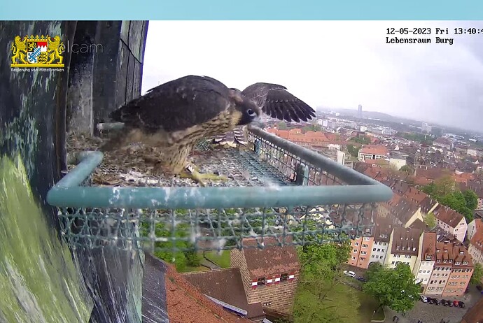 Screenshot_20230512-134101~2