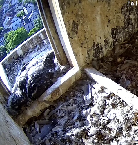 Screenshot_20230527-073358~2