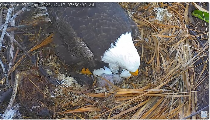 Screenshot 2023-12-17 135453