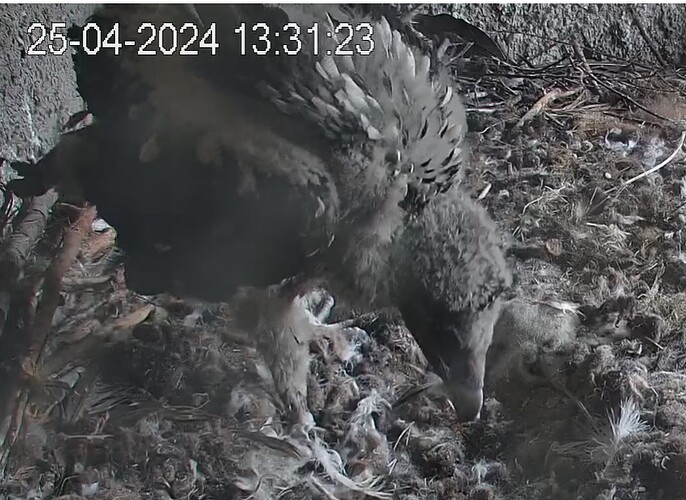 Spaziergang 25.04.24