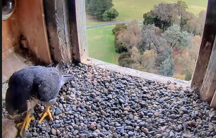 Screenshot_2023-12-20-07-53-09-660_com.google.android.youtube