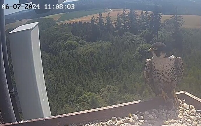 Screenshot_20240706_120749_Chrome