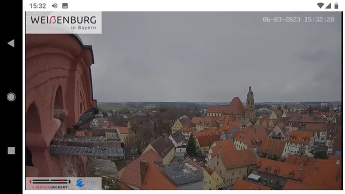Screenshot_20230306-153252