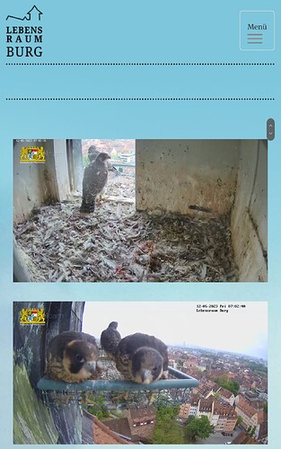 Screenshot_20230512_070258_Samsung Internet