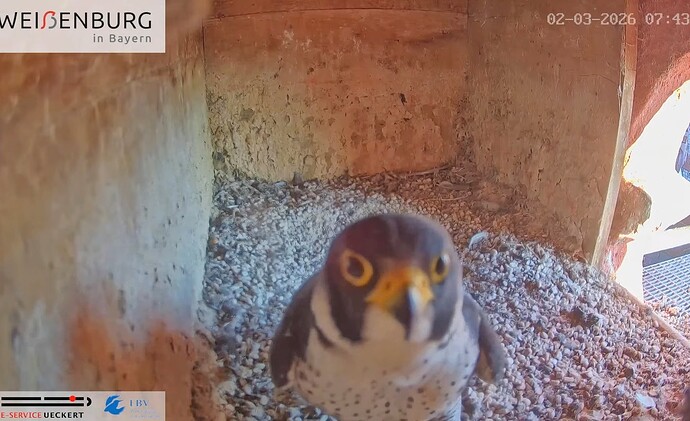 Screenshot_2026-03-02-11-18-48-487_com.google.android.youtube~2