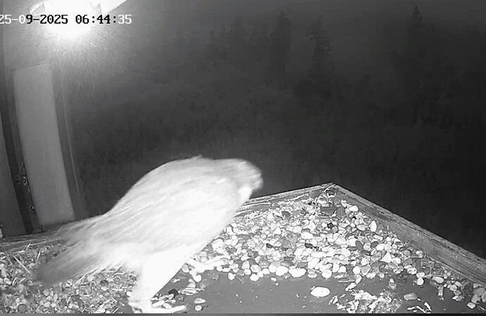 Screenshot_2025-09-25-06-44-48-964_com.android.chrome~2