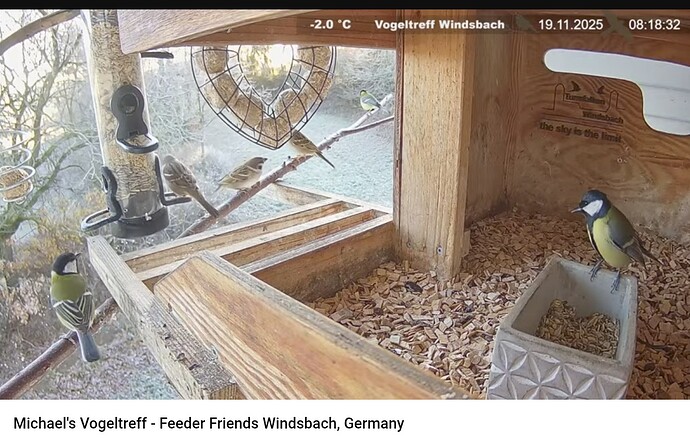 Screenshot_20251119-081854~2