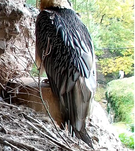 Screenshot_20251026-105422_Chrome