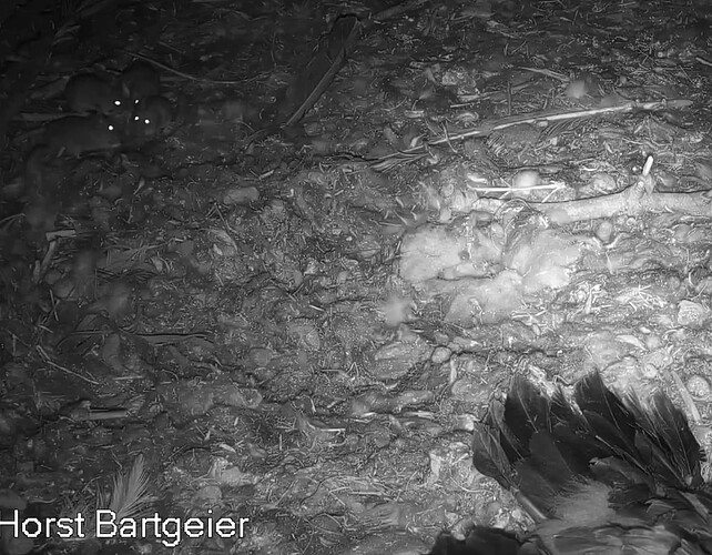 Screenshot_20240503-214632~2