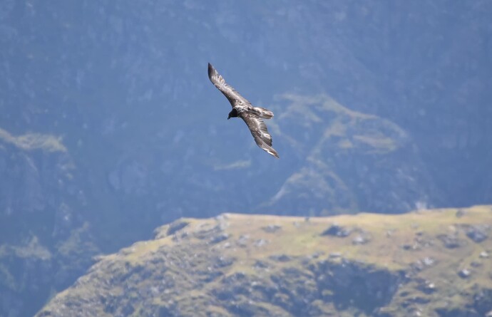 Recka_Gschlößtal_Thomas_Seekirchner_03-09-2023_DSC_0179