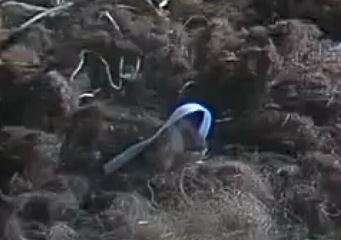 Screenshot_20251212-142537~2