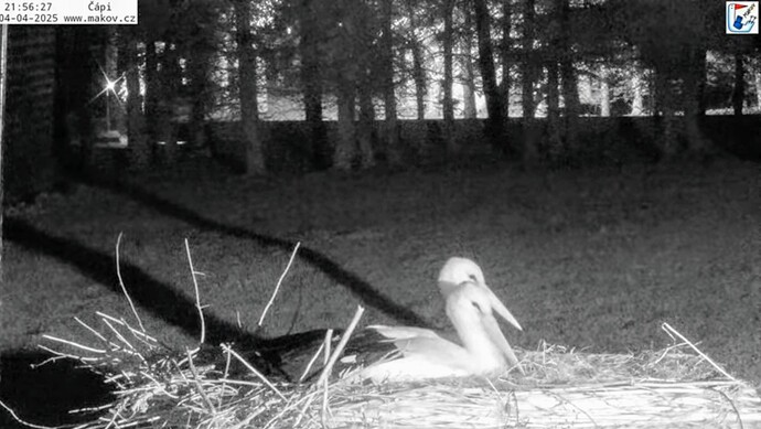 Screenshot_2025-04-04-22-38-04-835_com.google.android.youtube