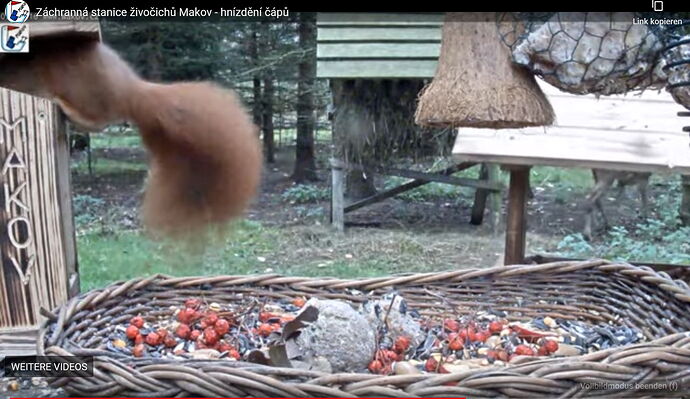 Snap_2022.11.09_11h50m00s_001_