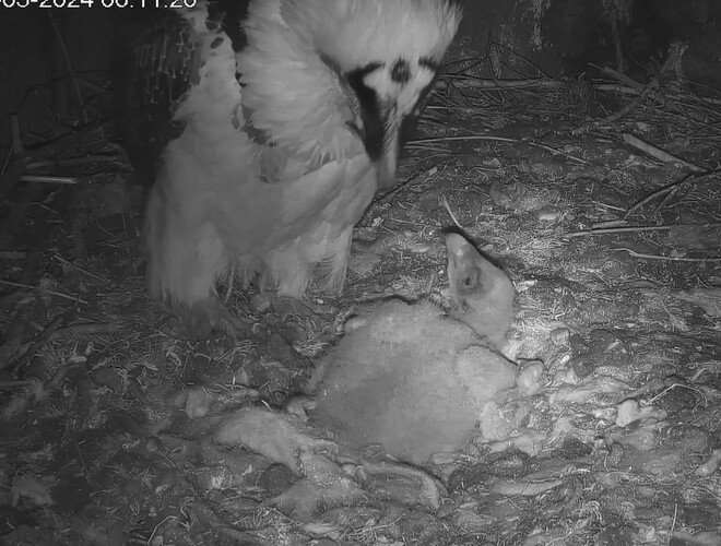 Noch so müde 22.03.24