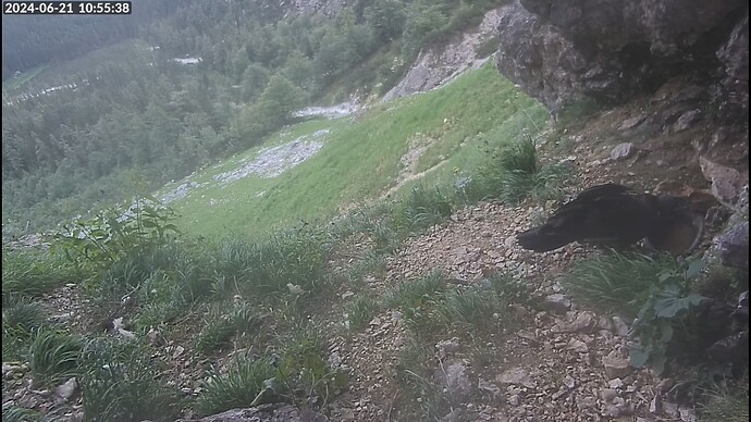 Screenshot 2024-06-21 10.55.58