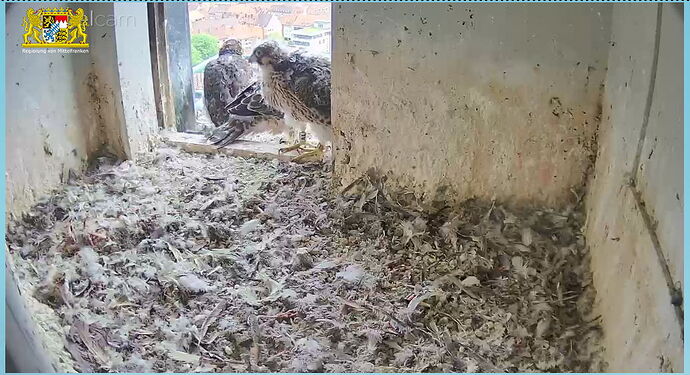 Snap_2023.05.08_15h23m44s_012_