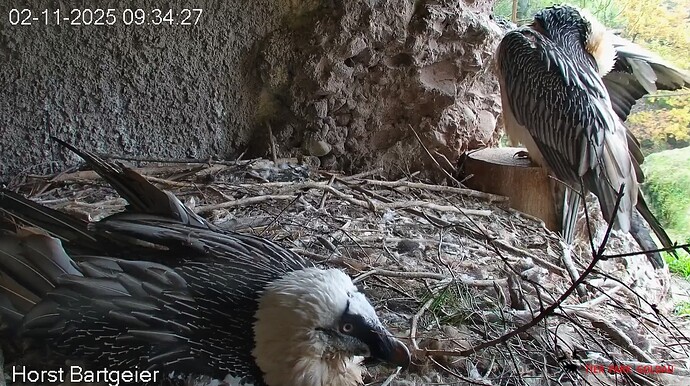 Sonntagsruhe 02.11.25