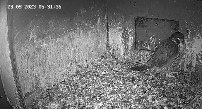 Screenshot_20230923_062934_Samsung Internet