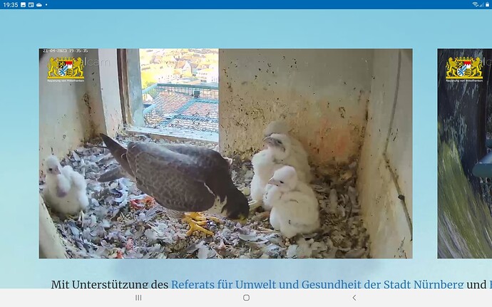 Screenshot_20230421-193556_Chrome