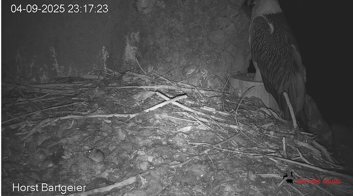 Screenshot_20250904-231834~2