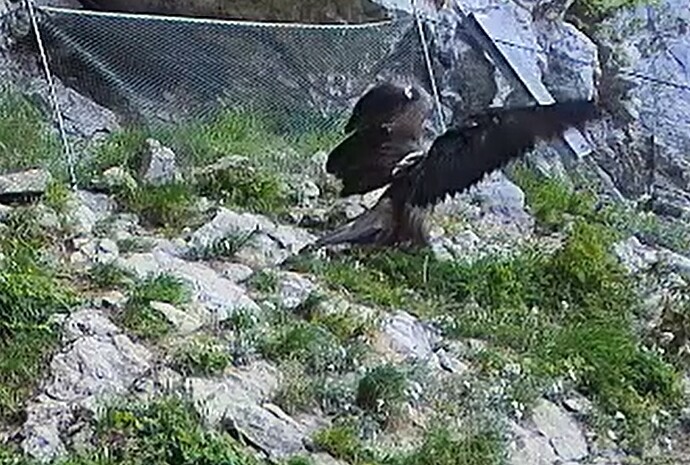 Generl kommt 23.06.25